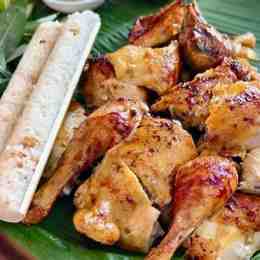 2 cặp gà sinh đôi đá