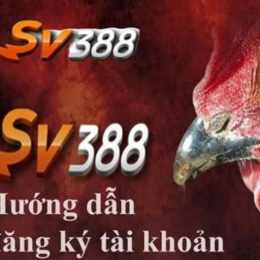 388 đá gà