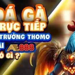 ae888 da ga auction