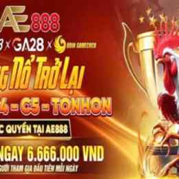 ae888 trực tiếp đá gà thomo