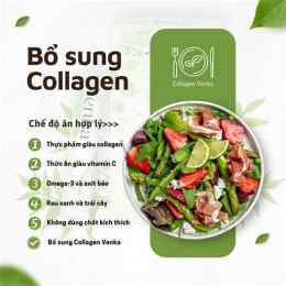 ăn da gà có collagen không