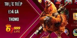 ảnh chụp màn hình 67999 đá gà