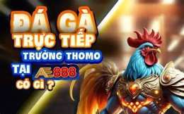 ảnh chụp màn hình ae888 da ga auction