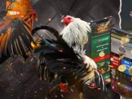 ảnh chụp màn hình alo789 đá gà alo789bet