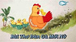 ảnh chụp màn hình bài thơ đá gà