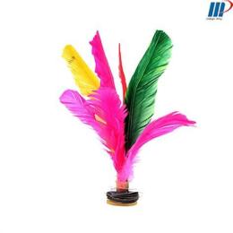 ảnh chụp màn hình bán cầu đá lông gà