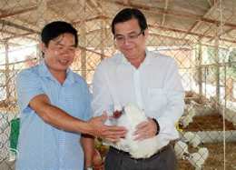 ảnh chụp màn hình bán gà mã đà
