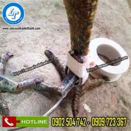 ảnh chụp màn hình băng keo đá gà bịp