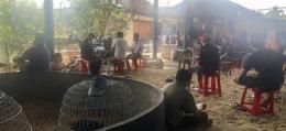 ảnh chụp màn hình bắt đá gà gia lai