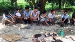 ảnh chụp màn hình bắt đá gà ở đức hòa