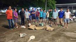 ảnh chụp màn hình bắt đá gà ở kiên giang mới nhất