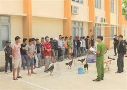 ảnh chụp màn hình bắt vụ đá gà ở lào