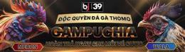 ảnh chụp màn hình bj39 đá gà trực tuyến