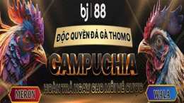 ảnh chụp màn hình bj88 đá gà trực tiếp hôm nay