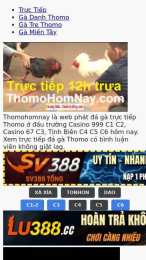 ảnh chụp màn hình c3 hôm nay đá gà