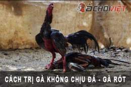 ảnh chụp màn hình cách trị gà đá bị hóc