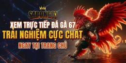 ảnh chụp màn hình cam 67 đá gà