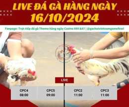 ảnh chụp màn hình casino 999 đá gà trực tiếp thomo 999