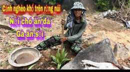 ảnh chụp màn hình chó ăn đá gà ăn sỏi có phải là thành ngữ không