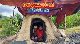ảnh chụp màn hình chó ăn đá, gà ăn sỏi