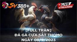 ảnh chụp màn hình clip đá gà thomo c3 hôm nay
