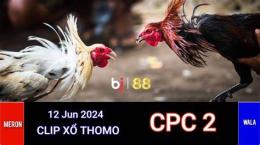 ảnh chụp màn hình cpc2 đá gà