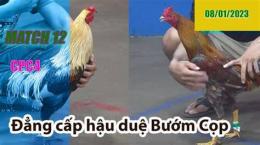 ảnh chụp màn hình cpc4 đá gà