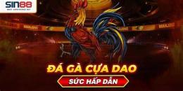 ảnh chụp màn hình cựa dao gà đá
