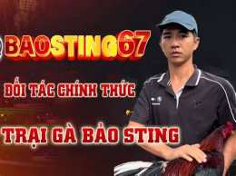 ảnh chụp màn hình đá gà 67 bao sting