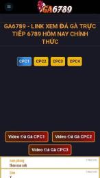 ảnh chụp màn hình đá gà 6789 hôm nay