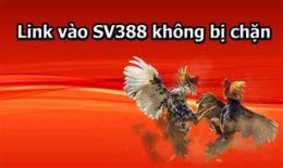 ảnh chụp màn hình đá gà 6789 không bị chân com sv388