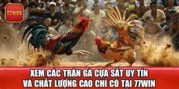 ảnh chụp màn hình đá gà 77win