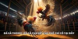 ảnh chụp màn hình đá gà 79king