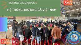ảnh chụp màn hình đá gà 888 hôm nay