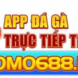 app đá gà trực tiếp c3