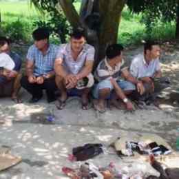 bắt đá gà ở đức hòa (long an)