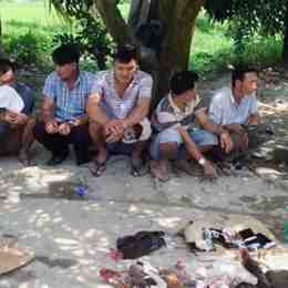 bat da ga o vinh long