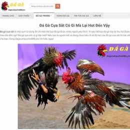 bat da ga q6