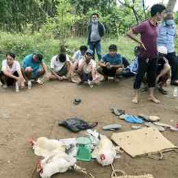 bắt đá gà sóc trăng