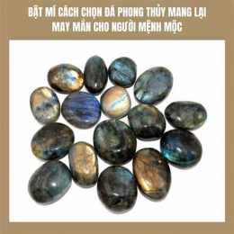 bật mí ngày đá gà