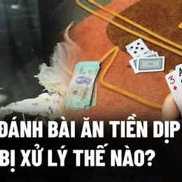 bị gà đá đánh số mấy