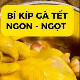 bí kíp gà đá