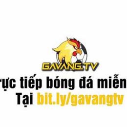 bong da ga vang tivi