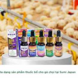 các loại thuốc bổ cho gà đá