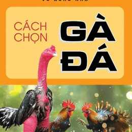 cach chon ga da hay