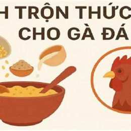 cach thuc ga da