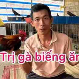 cách trị gà đá biếng an