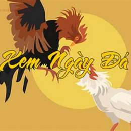 cap da ga theo ngay am
