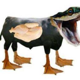chân vịt thịt gà da trâu đầu rắn