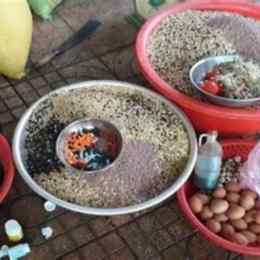 chế độ ăn cho gà đá cựa sắt